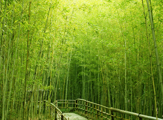 image_topSub-01